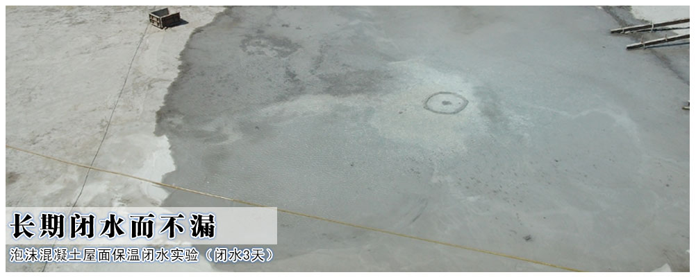 UED官方版网站登录入口